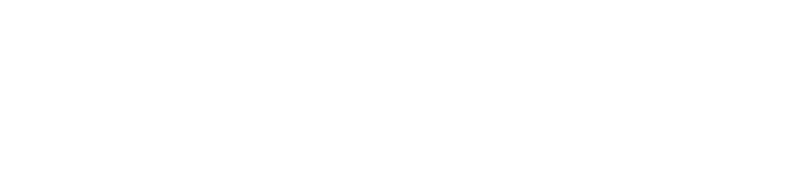 BettorToken — Tokenized Asset Management